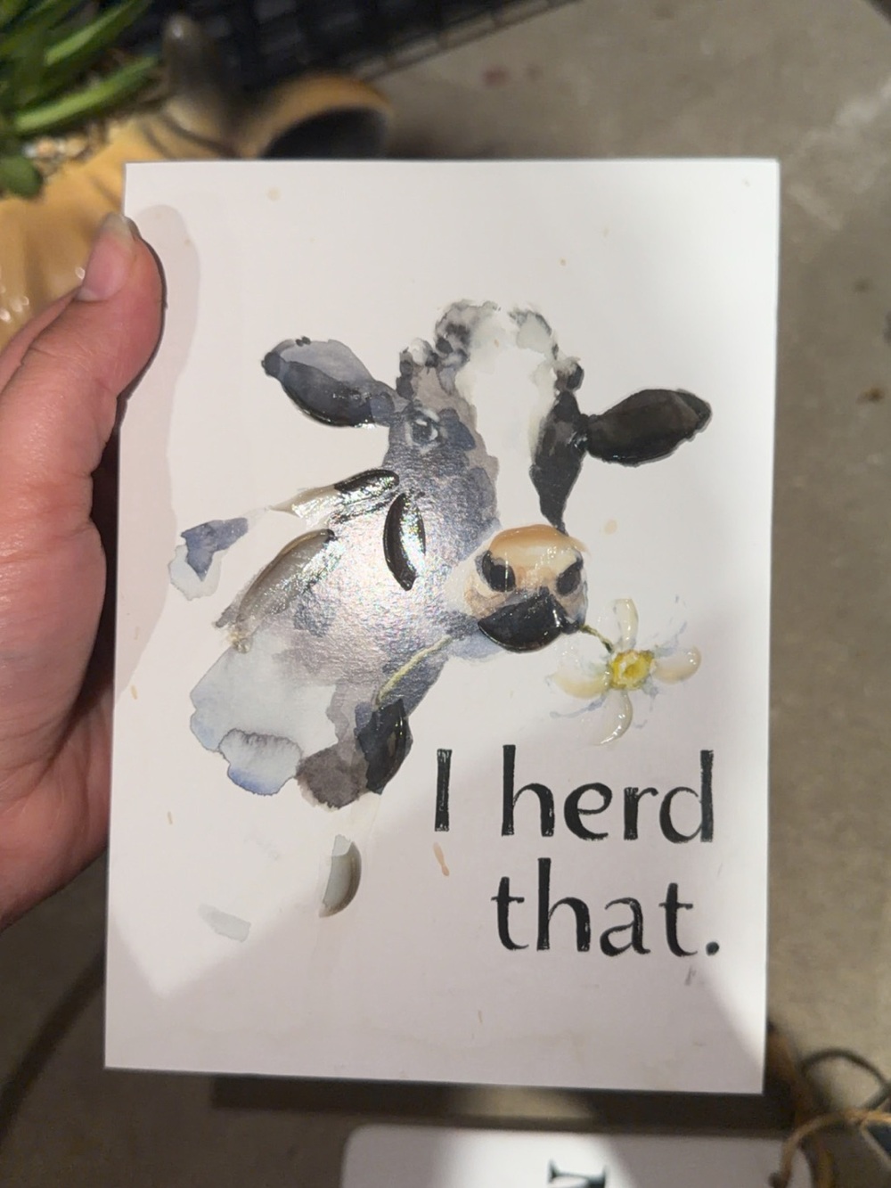 Cow Illustration Wall Art - "I Herd That" - Black, White, Cream